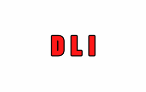 DLI : Exp. Senior Mix/2