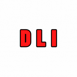 DLI : Perf. Senior Mix/2